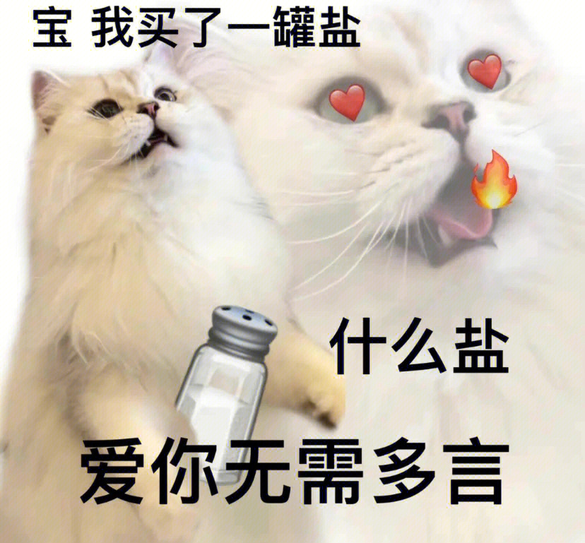 土味情话表情包猫咪图片