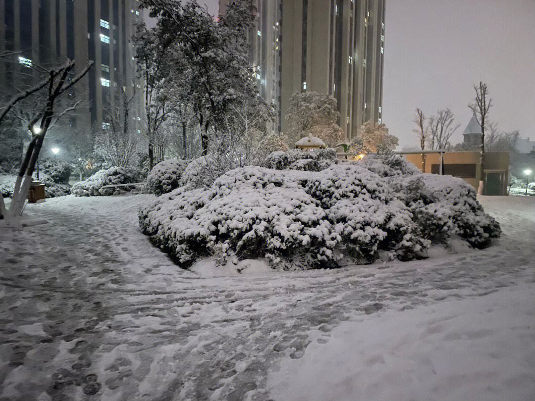 河南下雪了