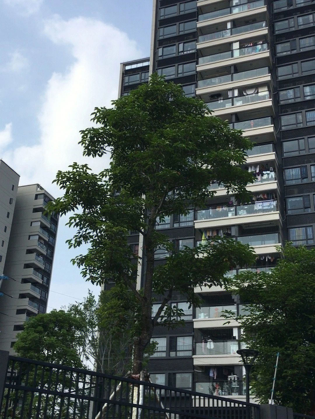 平湖湖景花苑图片