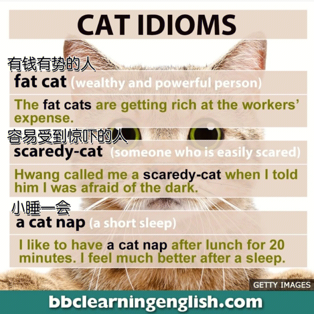 英国bbc公布的常用idioms最地道的英语i