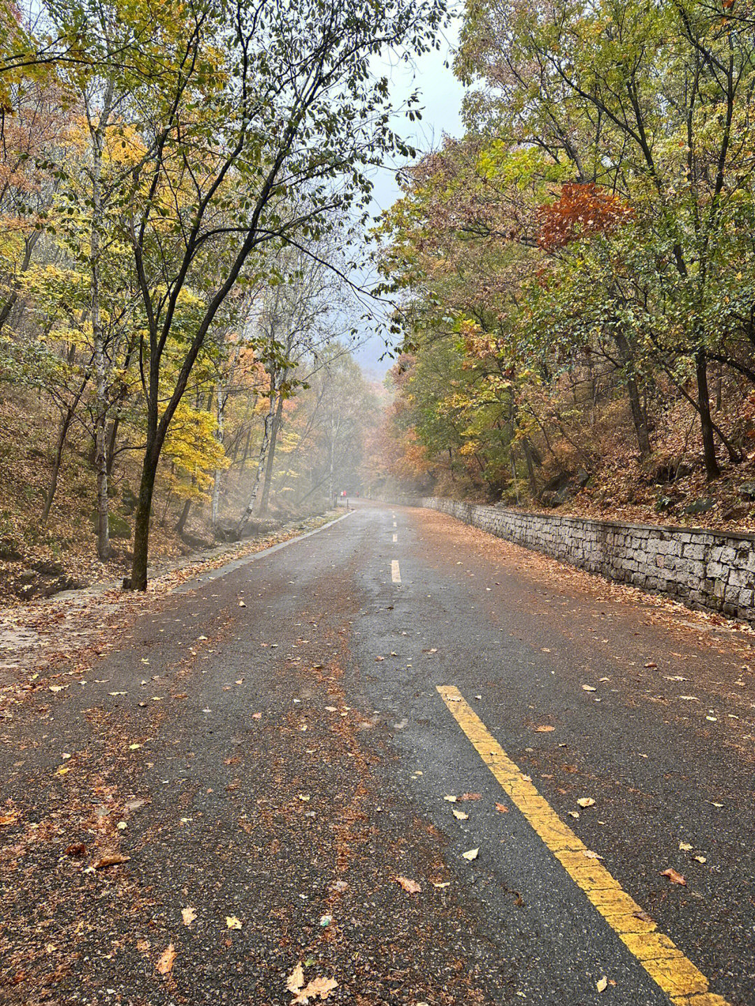 喇叭沟原始森林公园