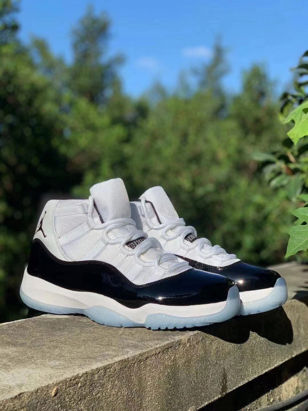 aj11大合集你喜欢哪个