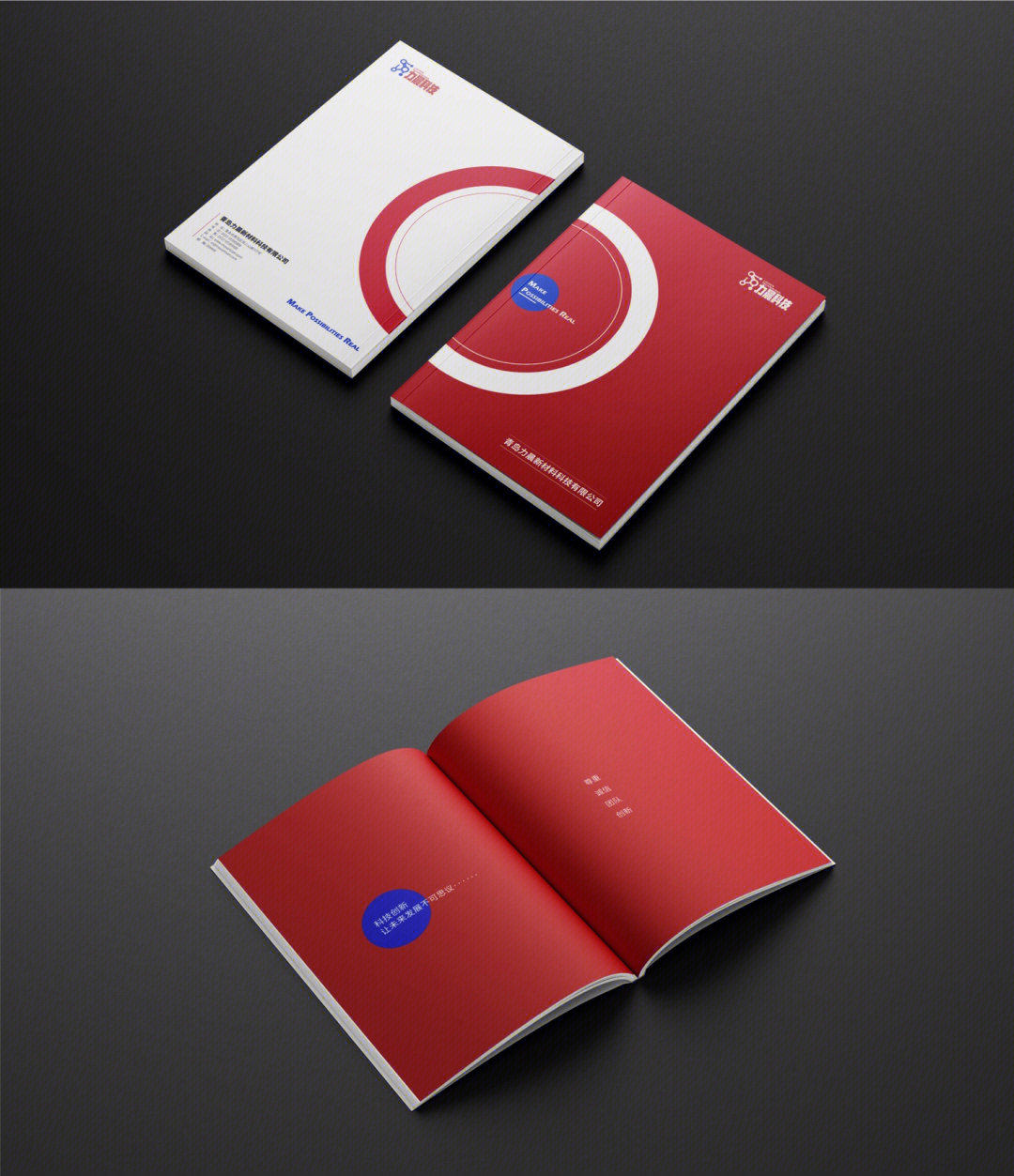 品牌设计#平面设计#设计#企业画册#画册设计#企业画册设计