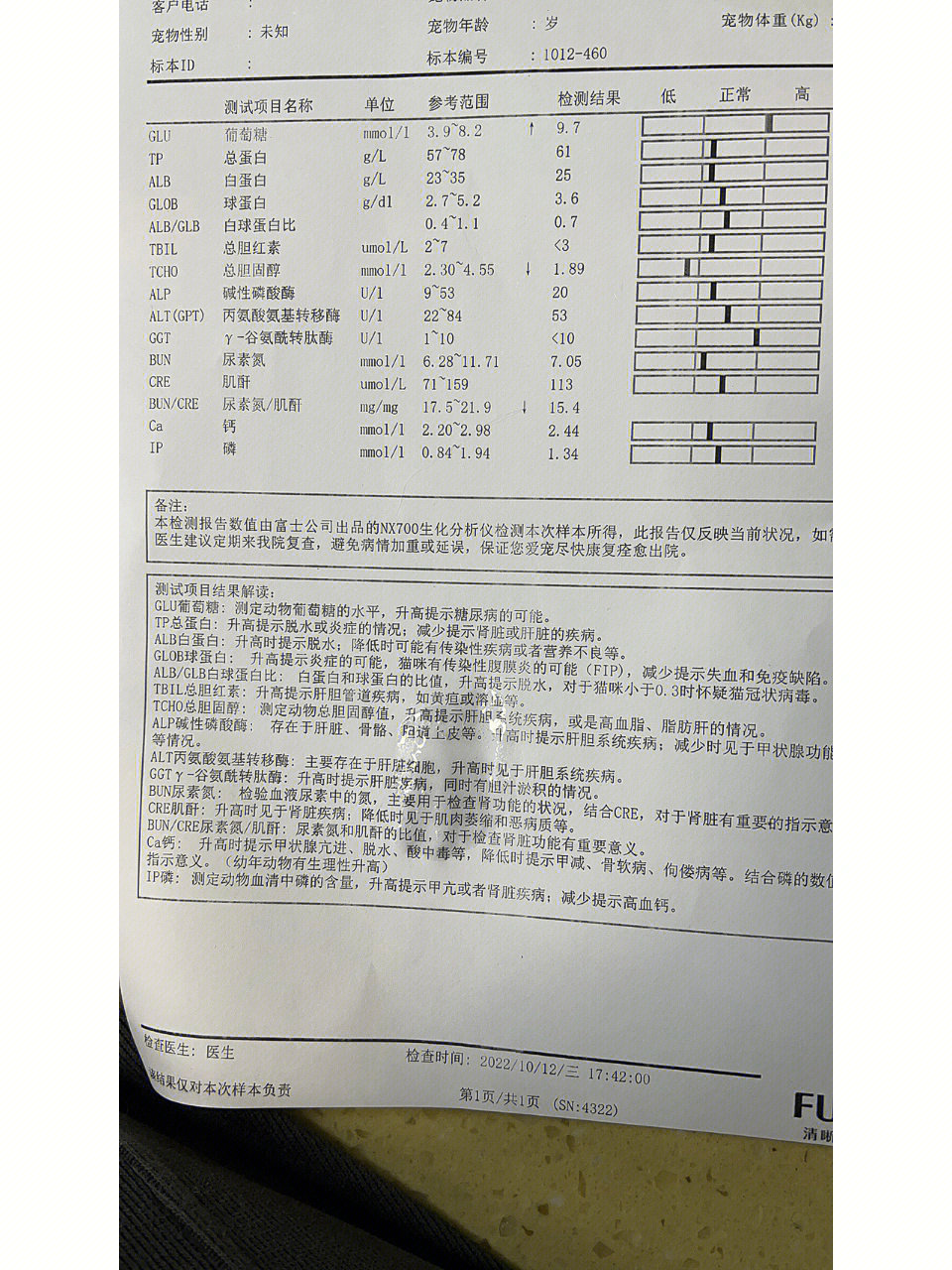 免疫球蛋白指标图片