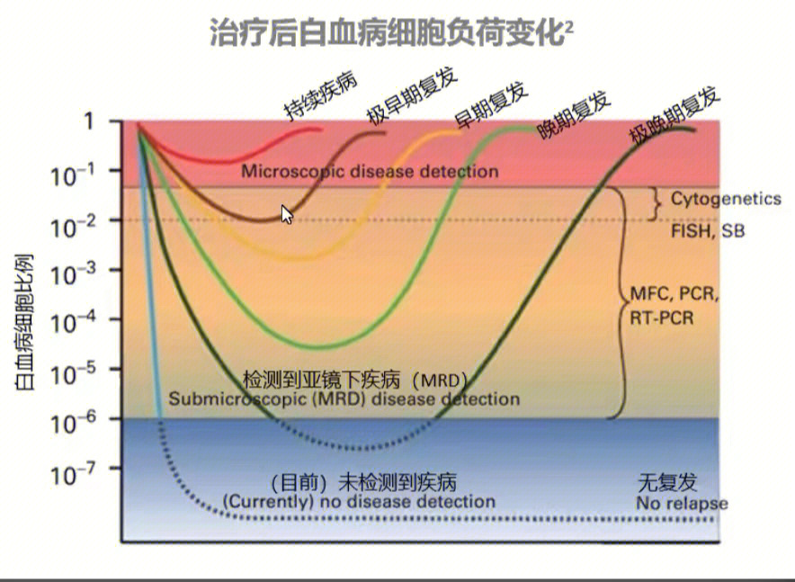 白血病治疗1年后返岗