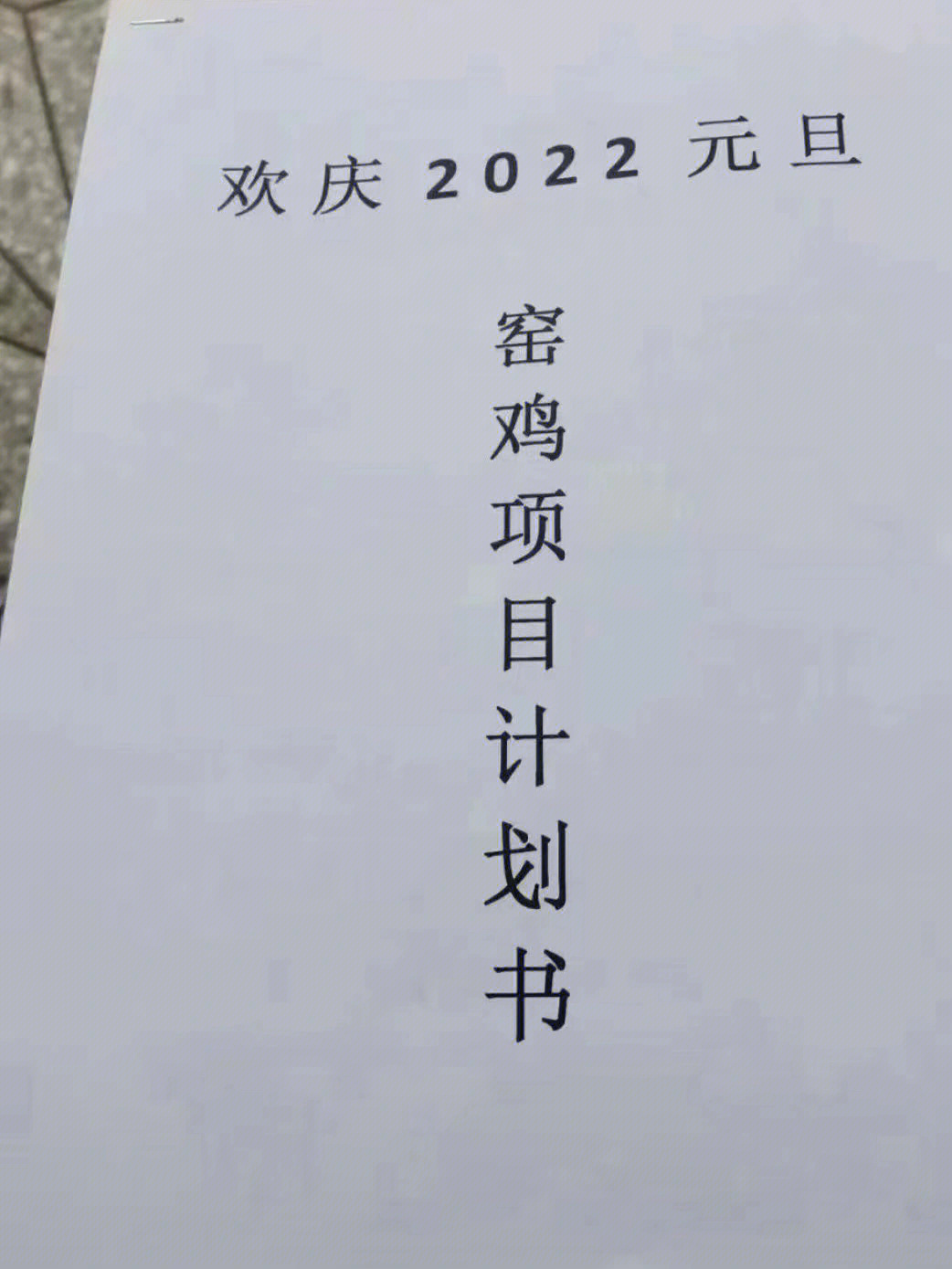 欢庆2022年元旦窑鸡项目计划书