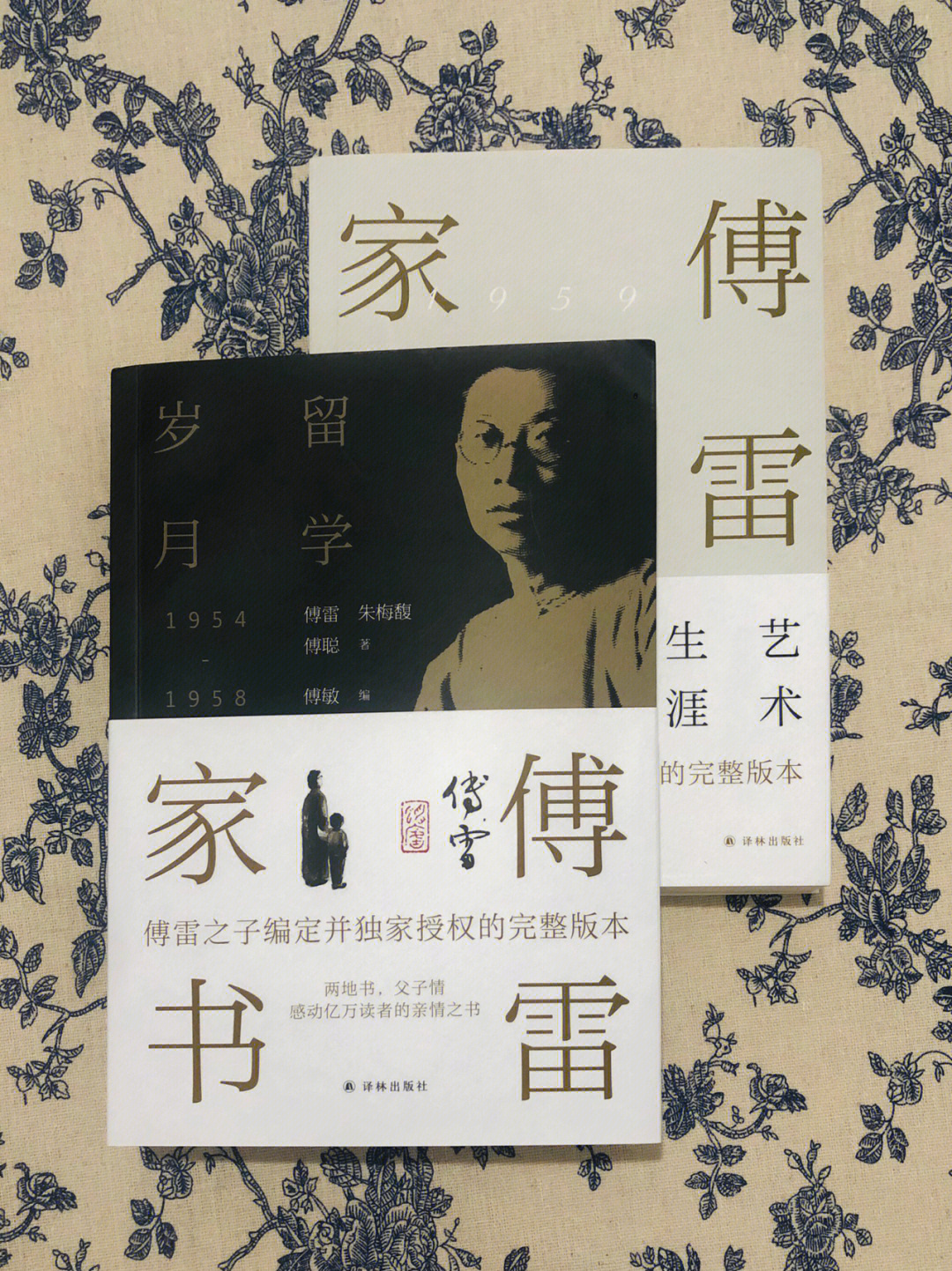 傅雷家书作品介绍图片