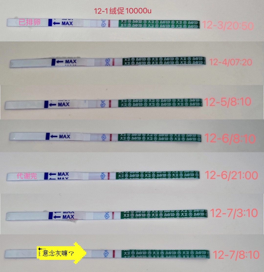 打hcg2000三天试纸变化图片