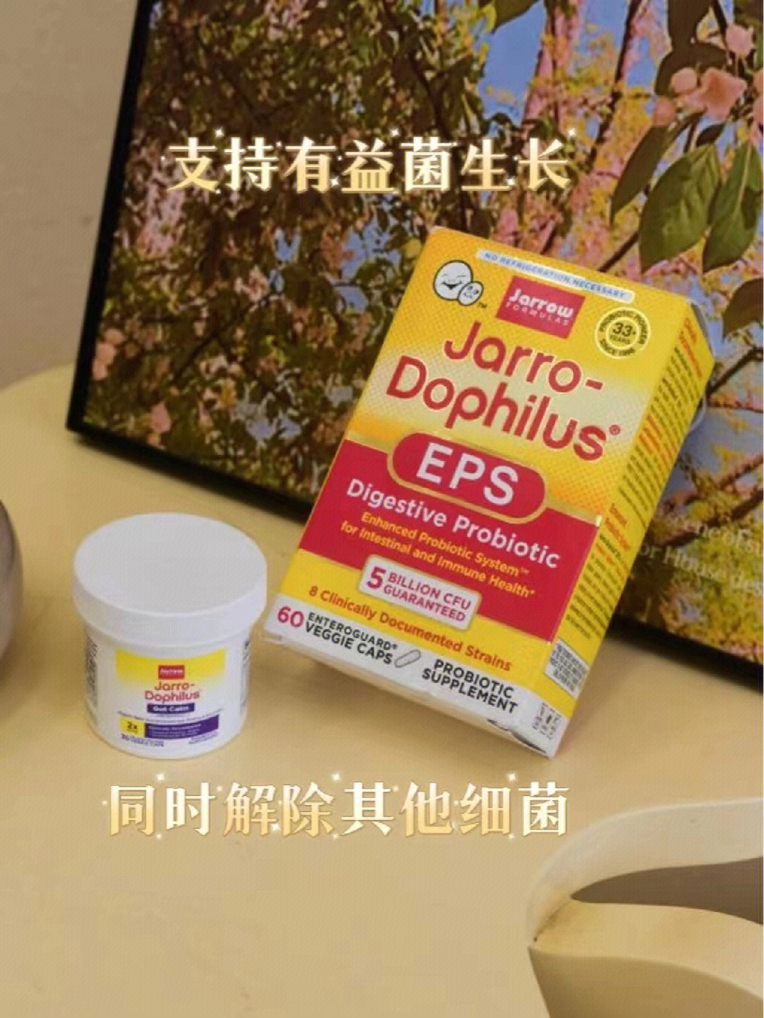 打工人值得拥有的健康好物jarrow益生菌