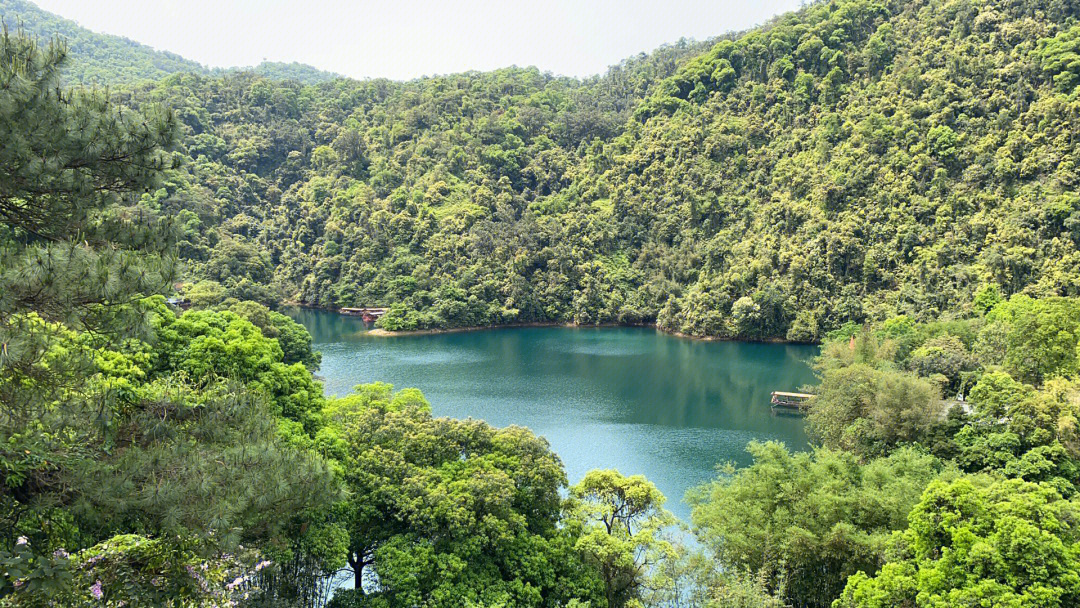 鼎湖山景区介绍图片