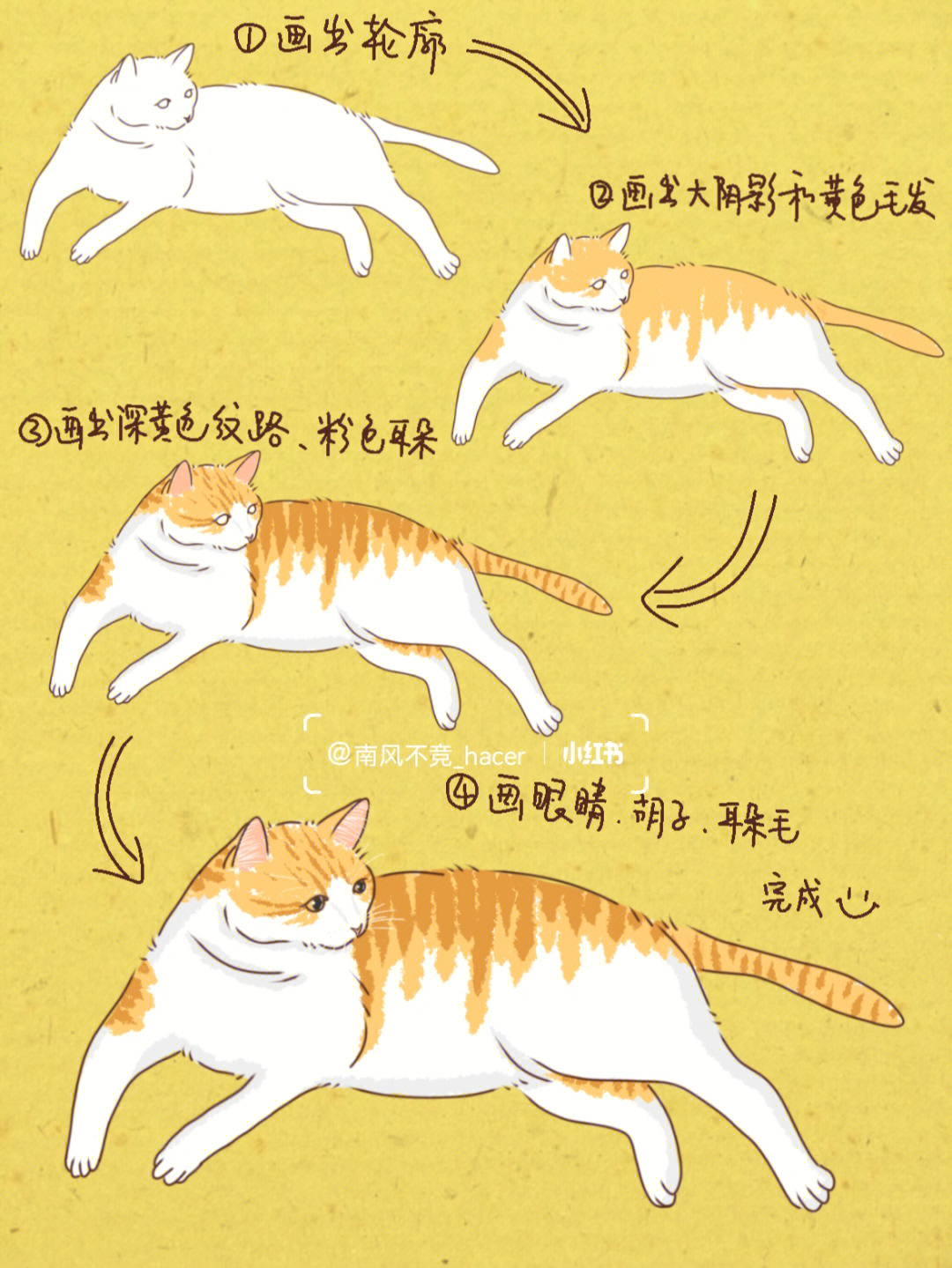 小橘猫简笔画可爱图片