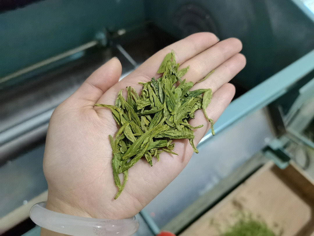 绿茶季61乌牛早口粮茶220一斤