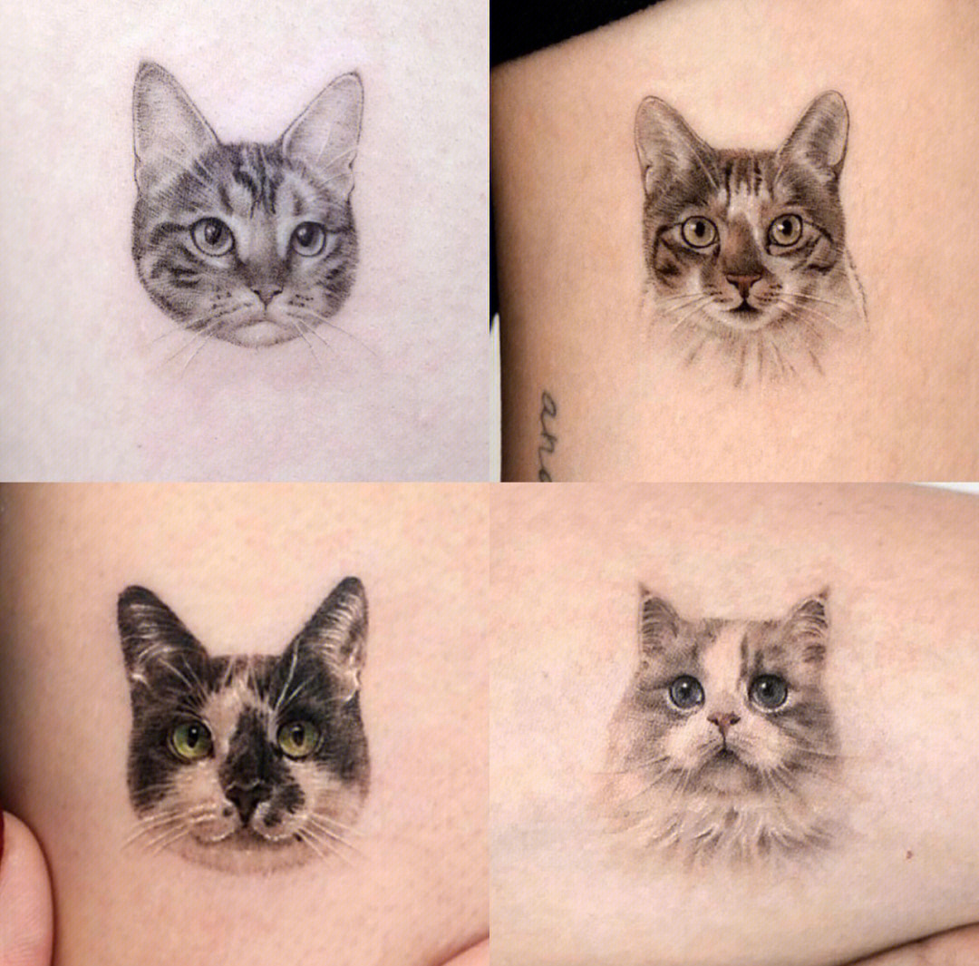 猫咪纹身分享