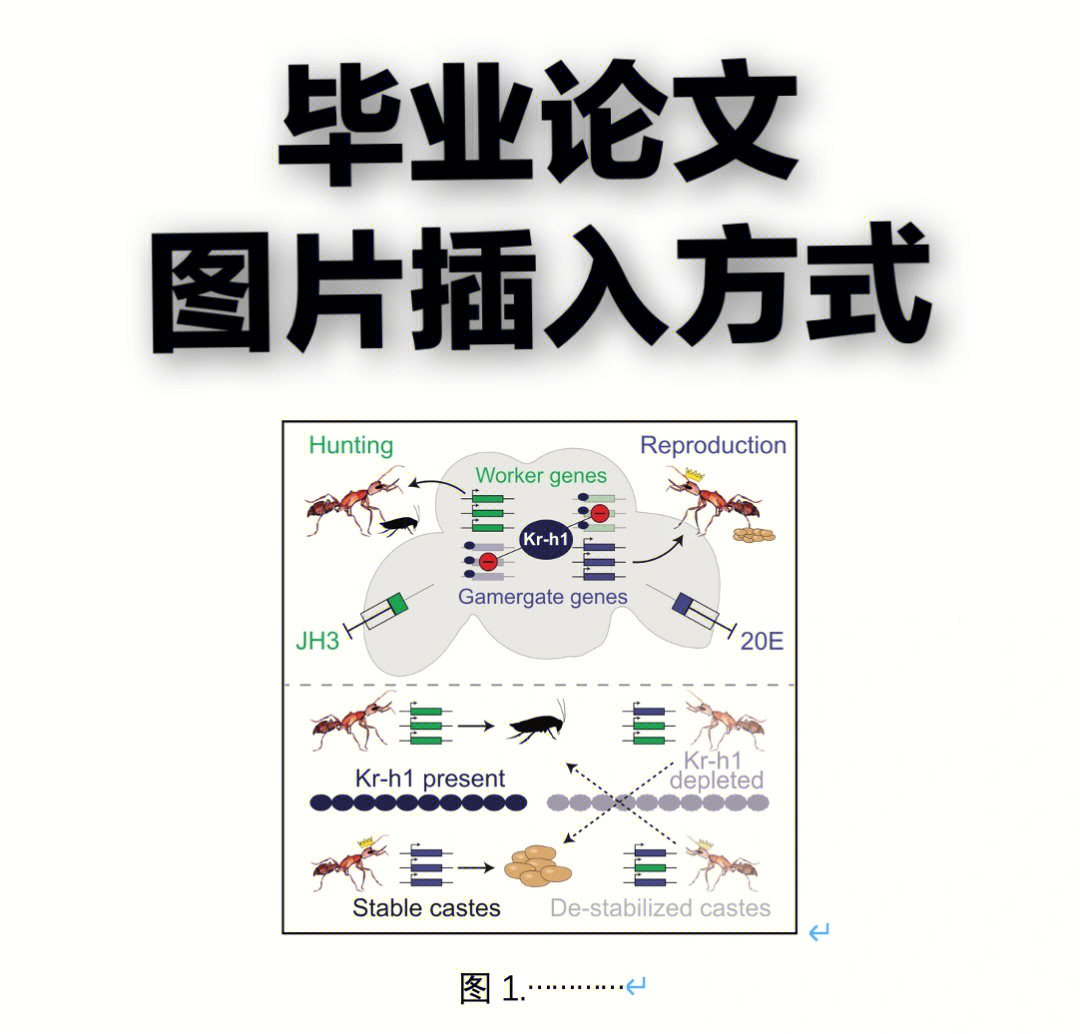 论文中插图图片