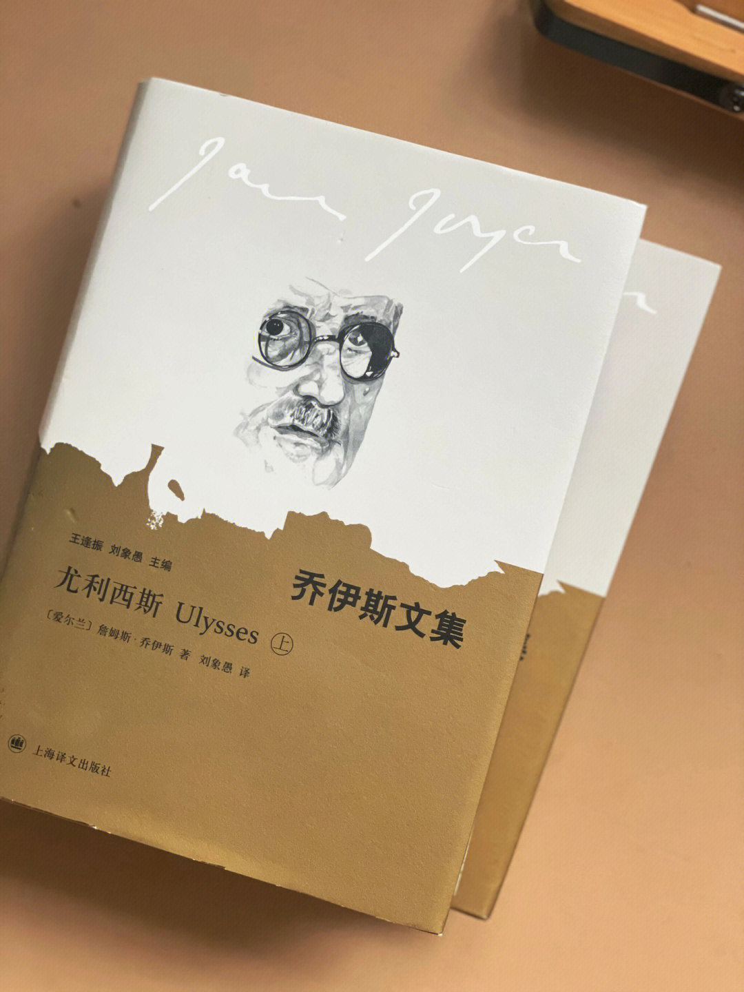 分享尤利西斯到底讲了什么一