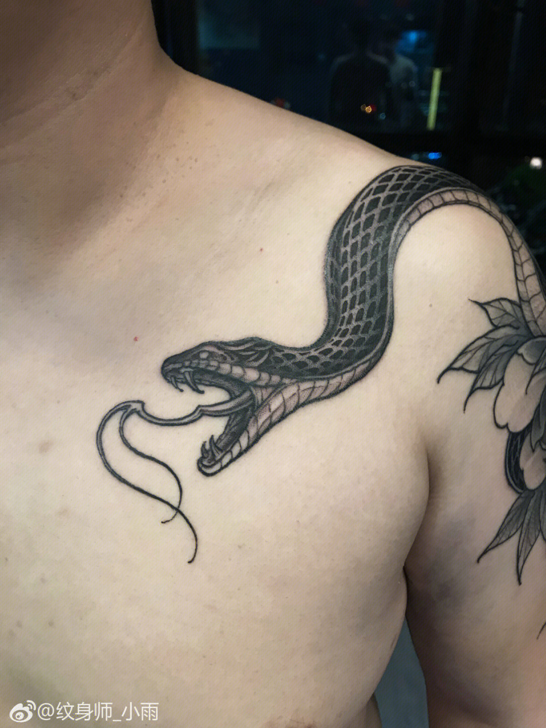 蛇戏牡丹纹身说法图片