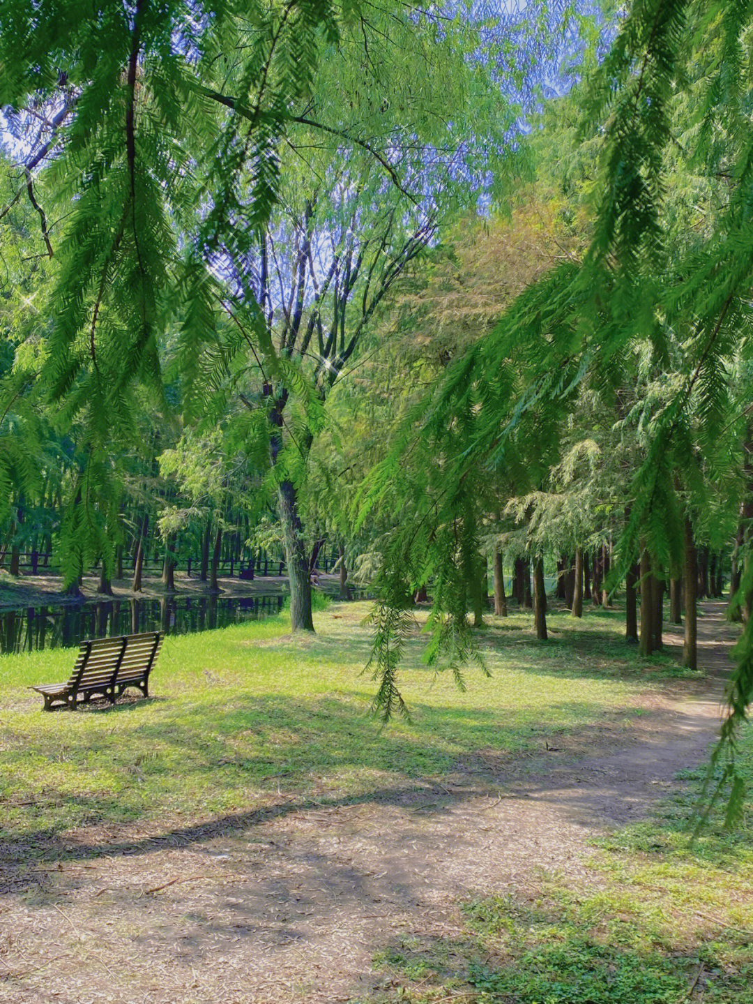 今日秋游共青森林公园