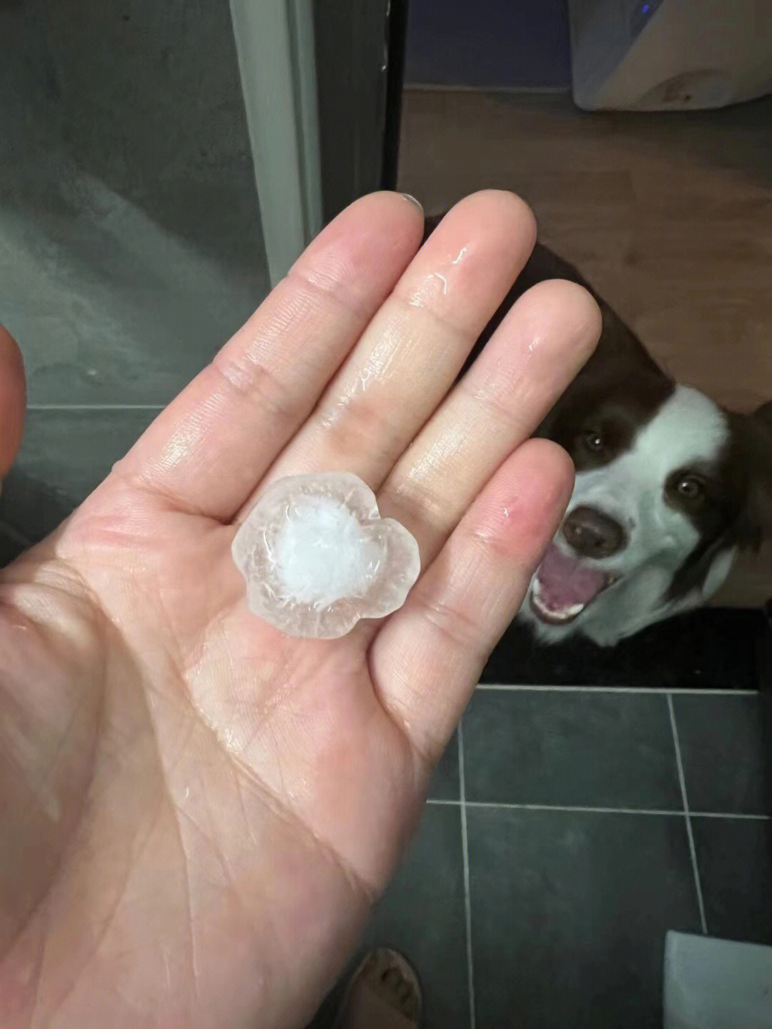 冰雹砸到人头图片图片