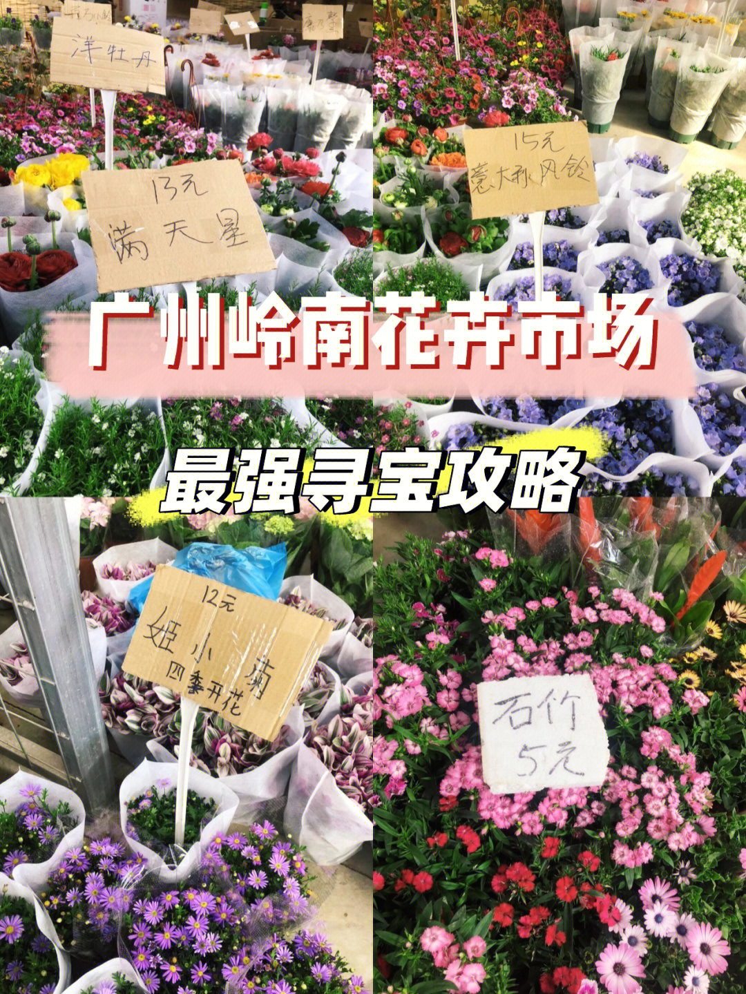 广州被称为花城94,当然少不了一个大型花卉市场,甚至在深圳东莞的小