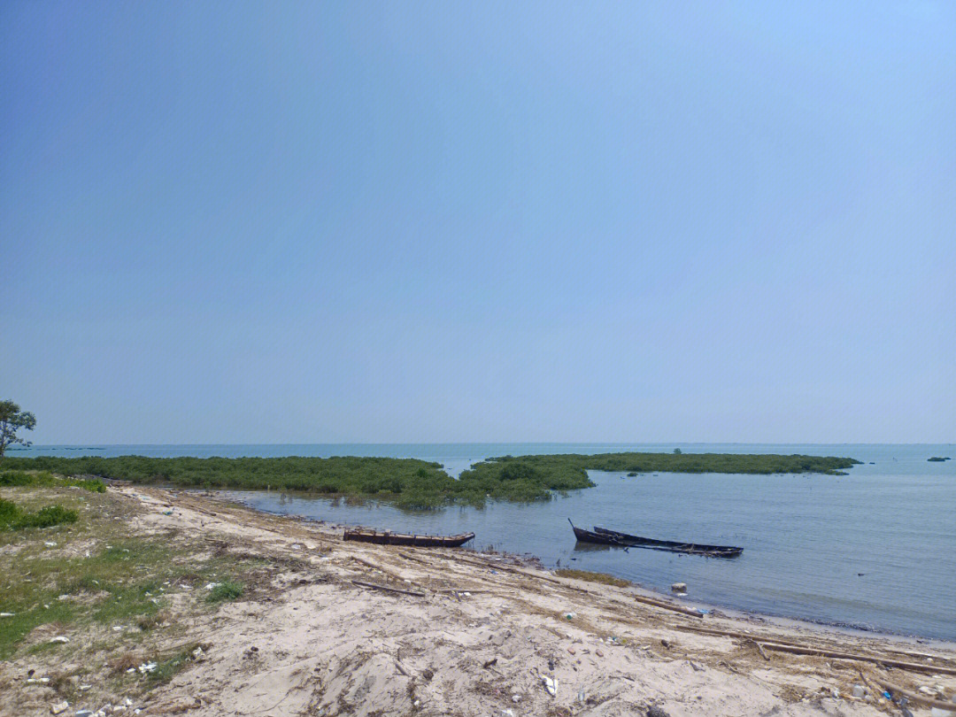 北海北海竹林图片