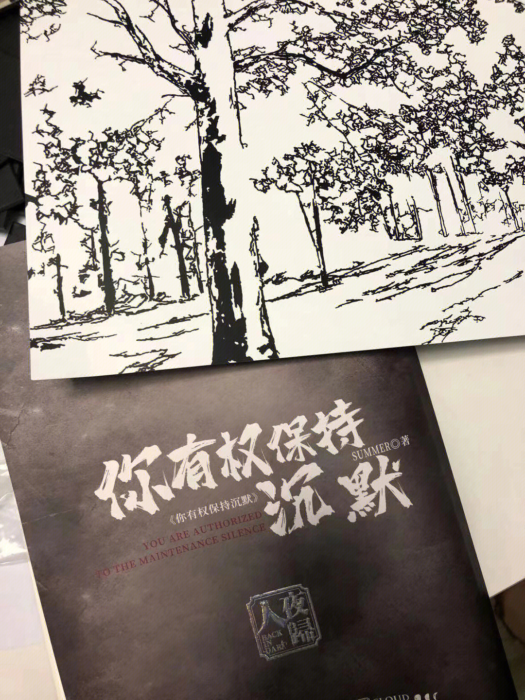 剧本杀你有权保持沉默无剧透测评