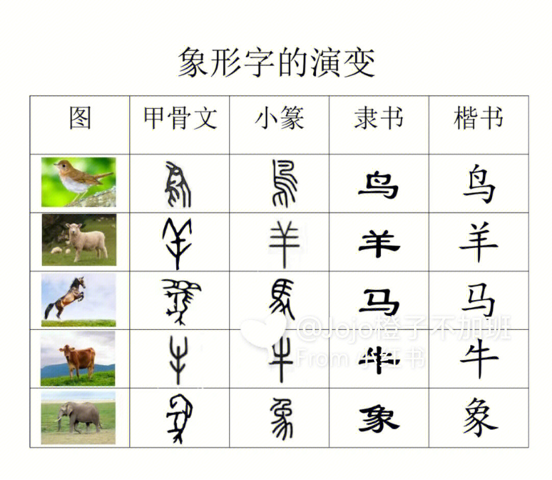 汉字的演变过程20字图片