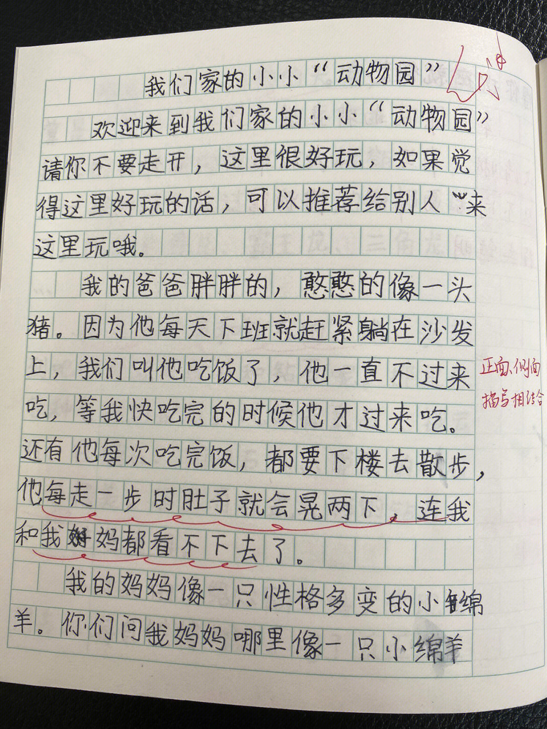 小小动物园作文写家人图片