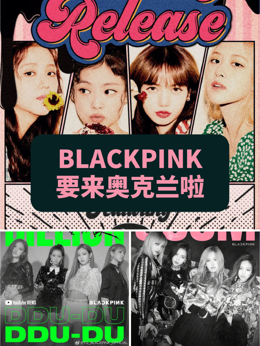 blackpink擦边球图片