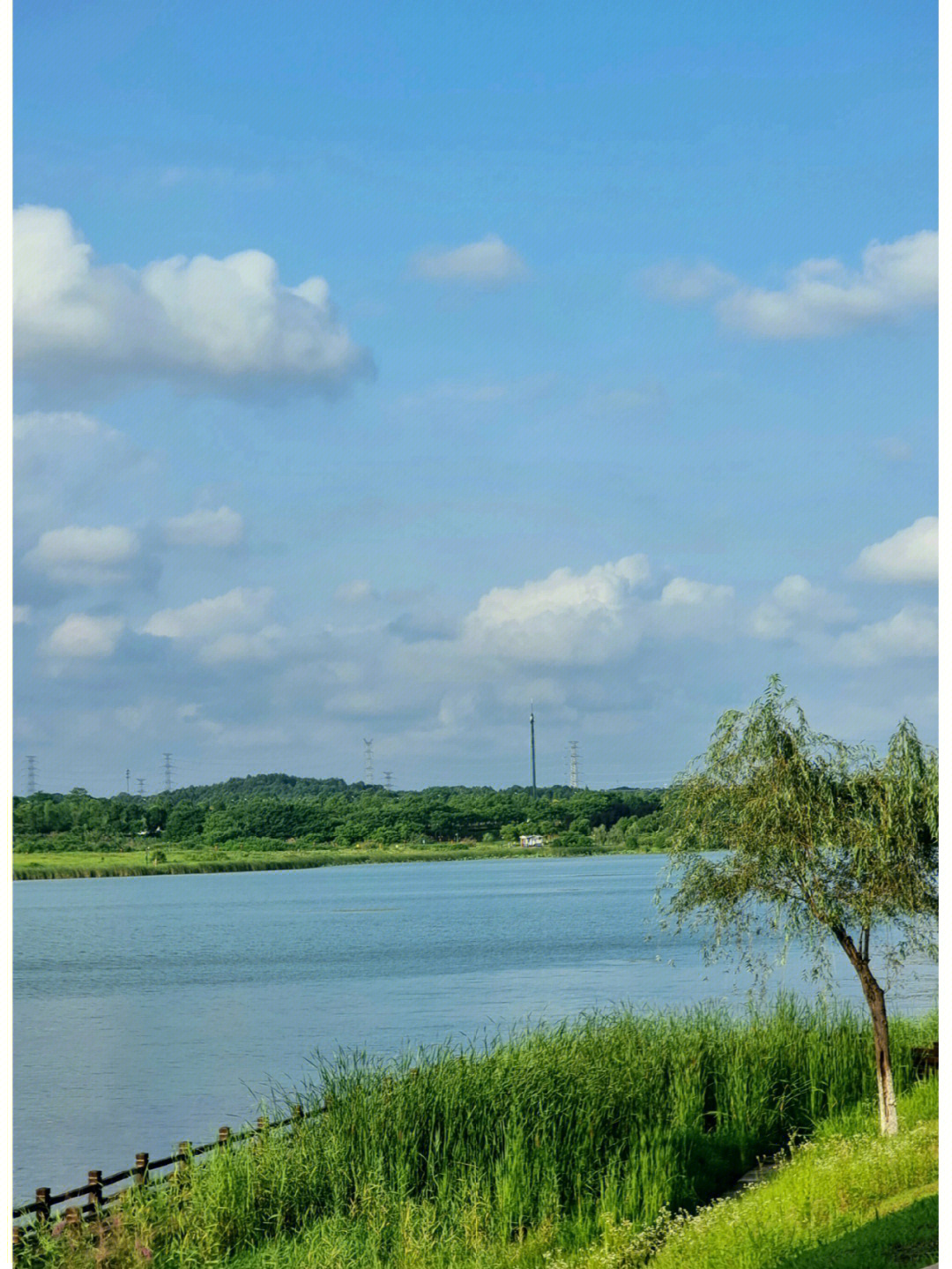 野草闲花曳夕照,湖光与我两销磨