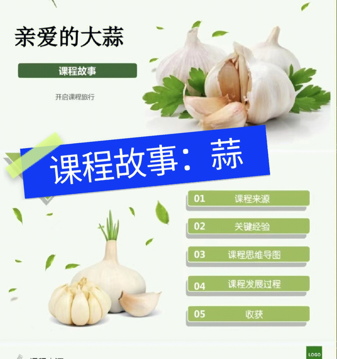 幼儿园小班课程故事:亲爱的大蒜,直接插入图片即可#幼儿园#课程故事