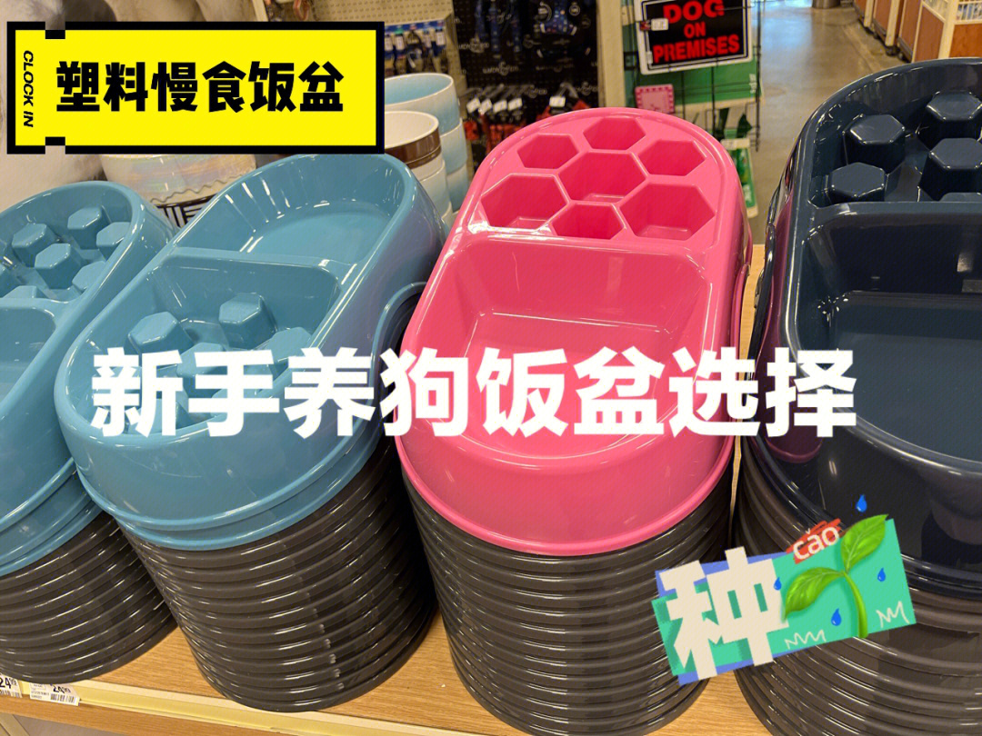 新手养狗第三篇狗狗饭盆器具使用测评