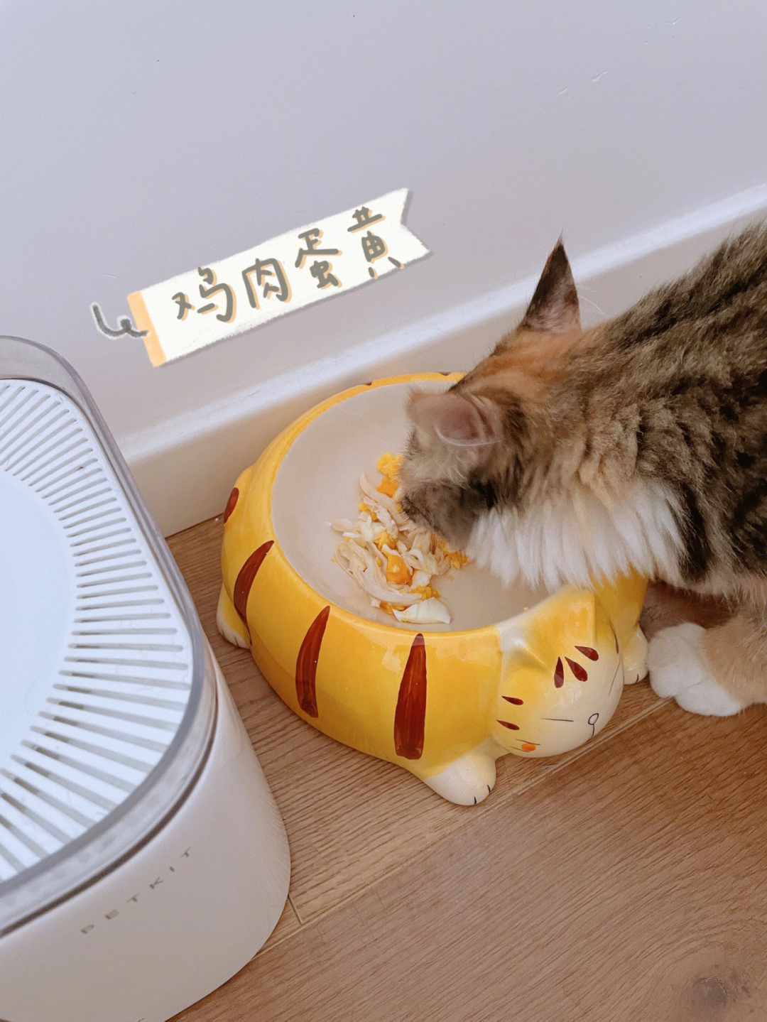 今天吃自制猫饭