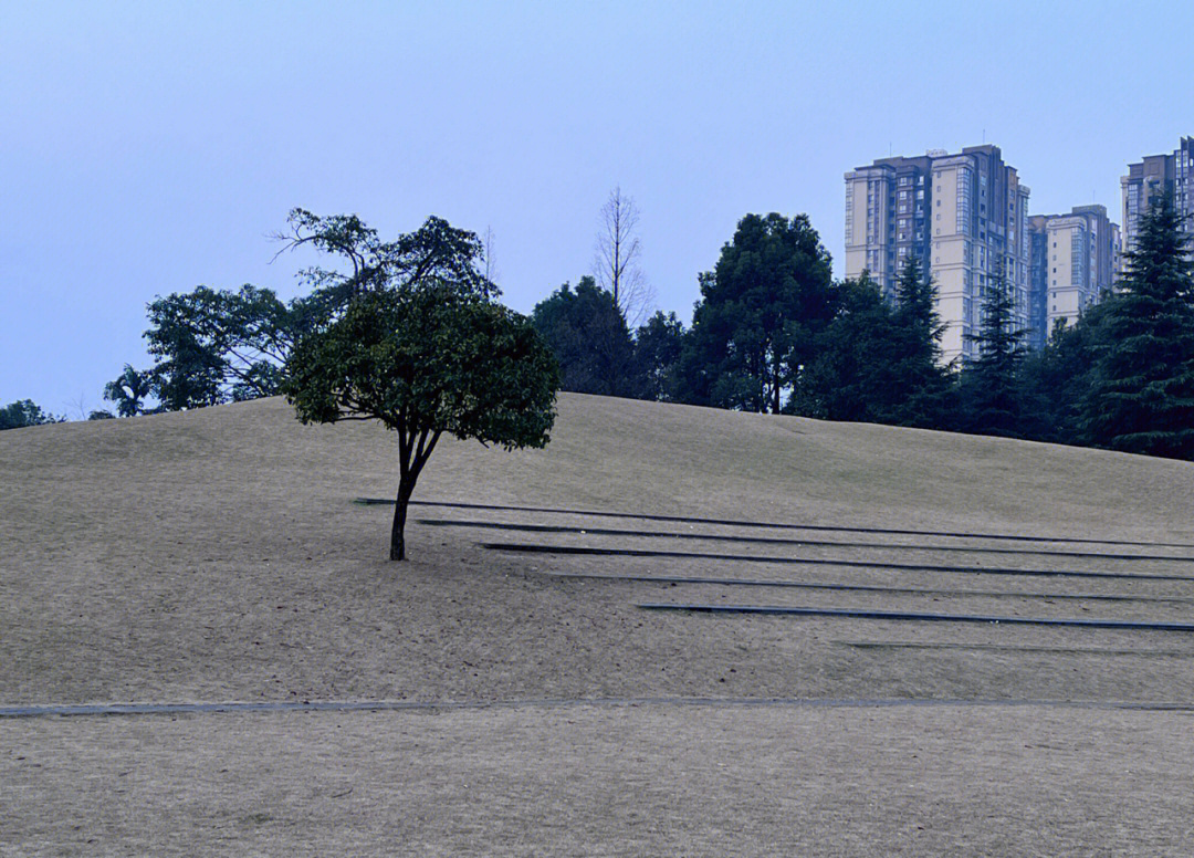 蓝湖郡体育公园打卡