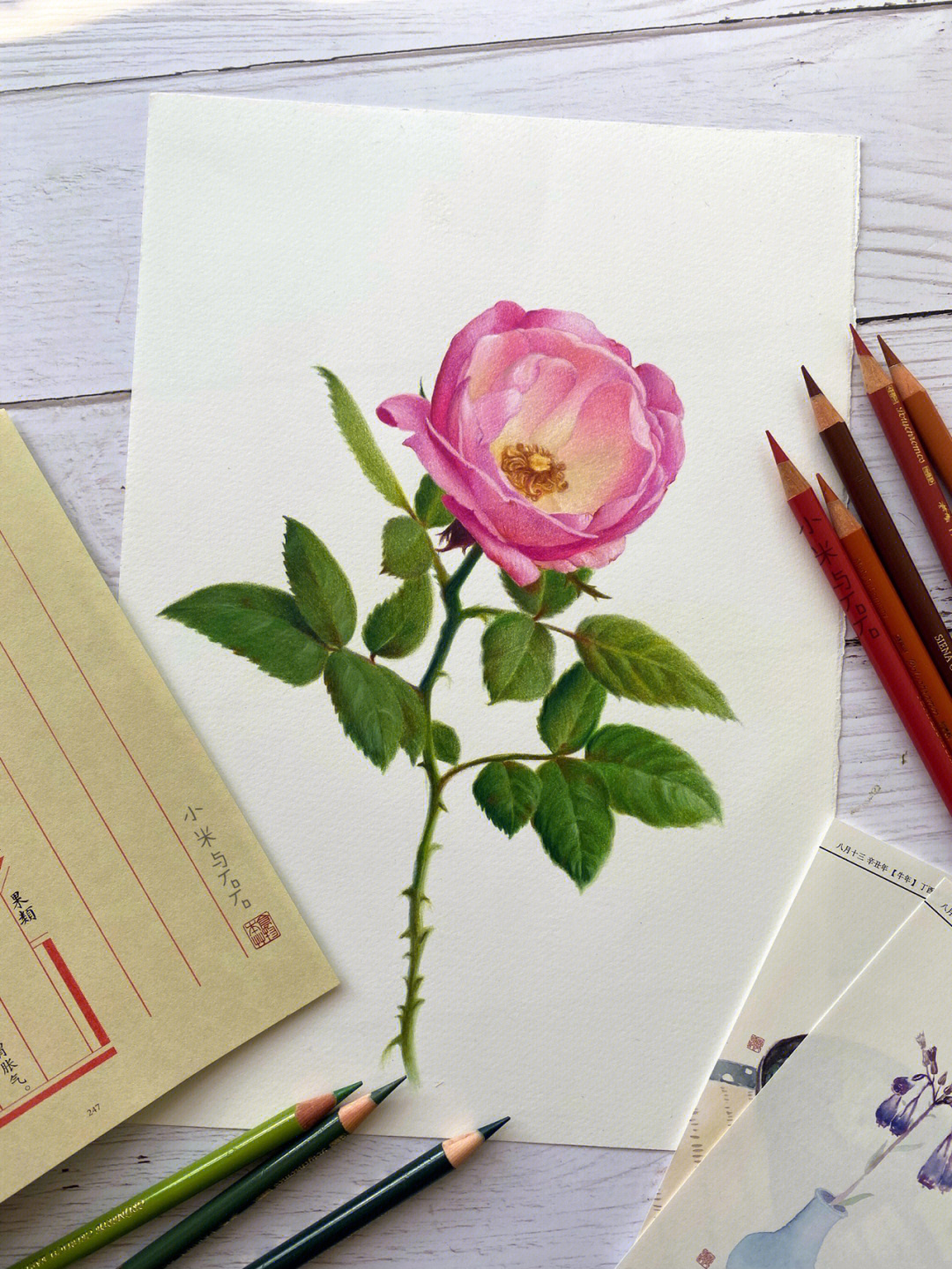 儿童画的简单蔷薇花图片