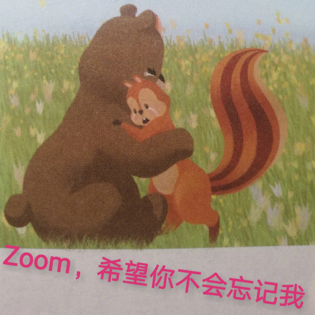 小熊Zoom手抄报图片