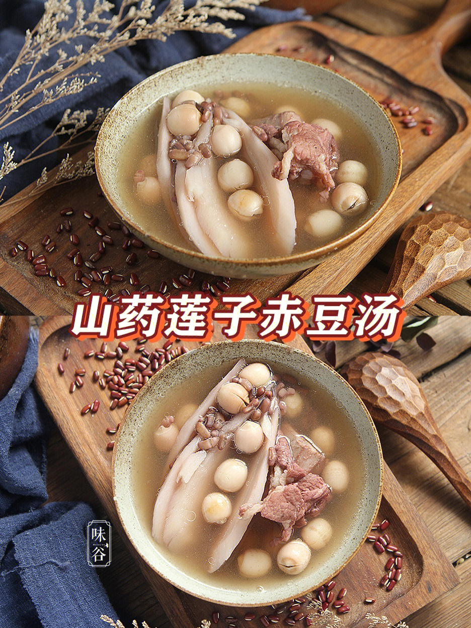 麻黄连翘赤小豆汤原文图片
