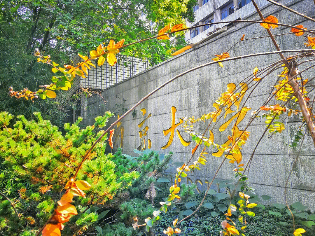 南京大学鼓楼校园小众角落的景致