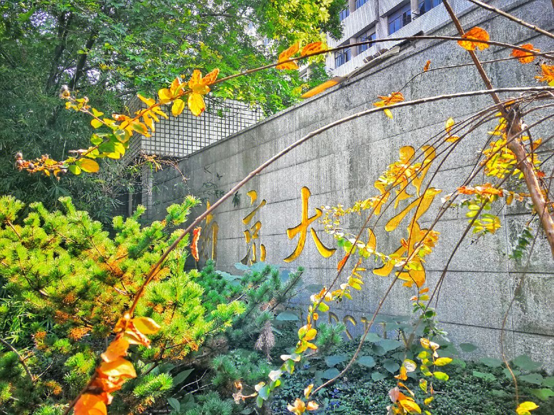 1952年南京大学迁至鼓楼校区后,强调新旧中轴参差对称,空间效果层次