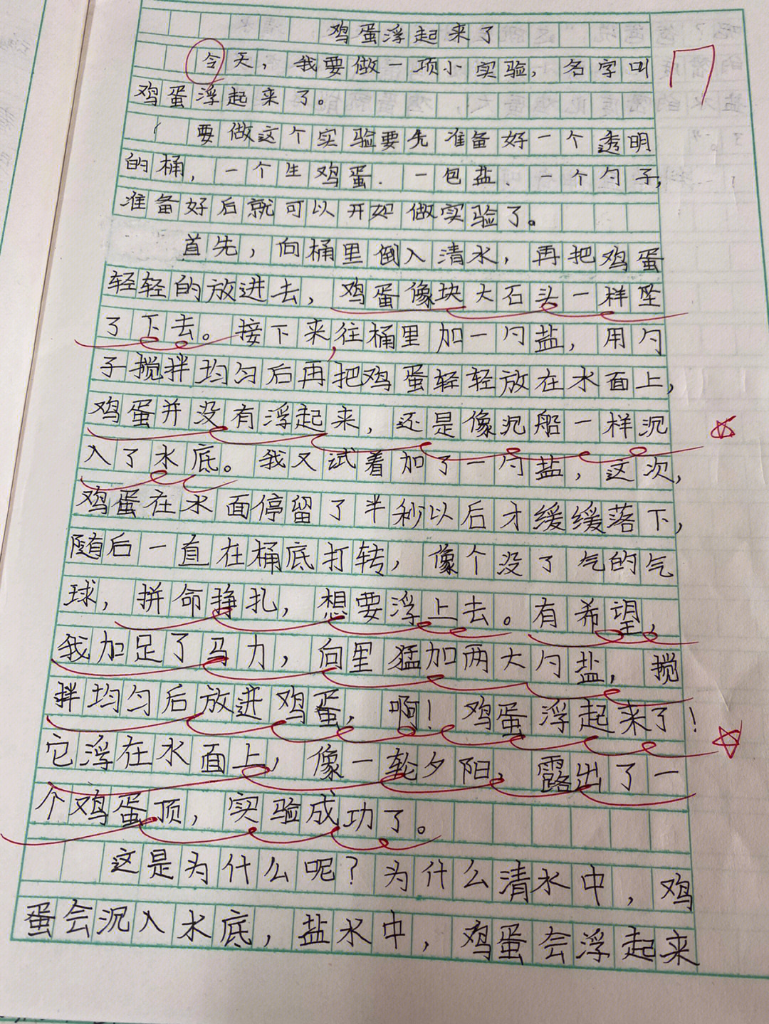 实验作文300字杯子图片