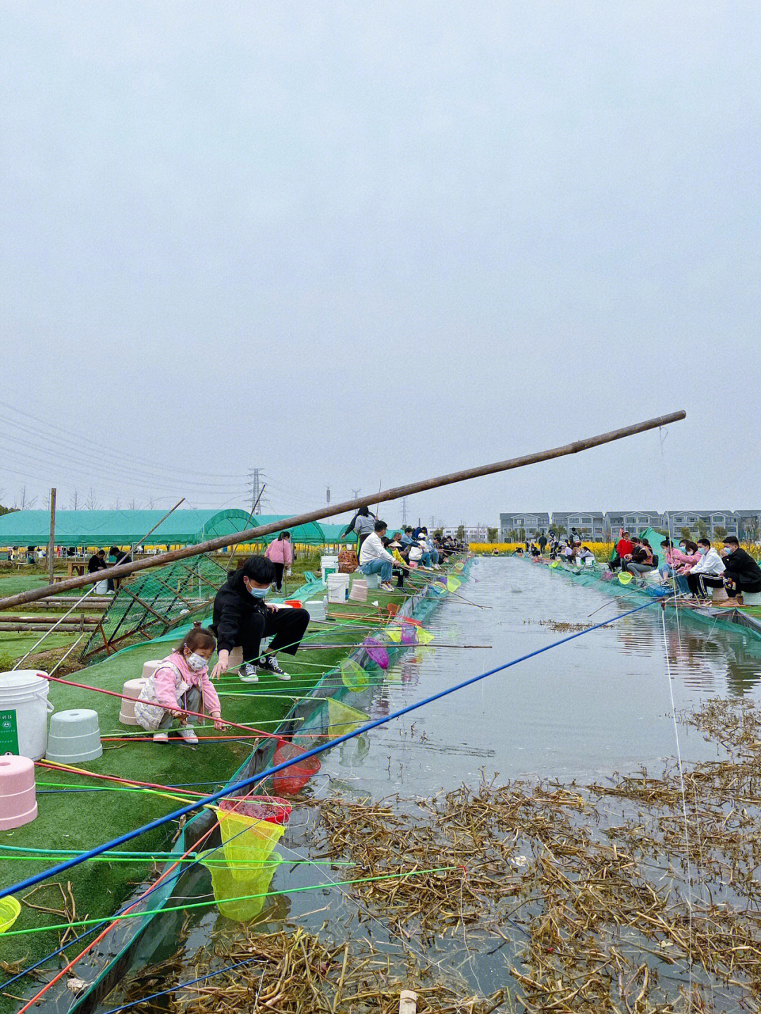 龙虾垂钓园图案设计图片