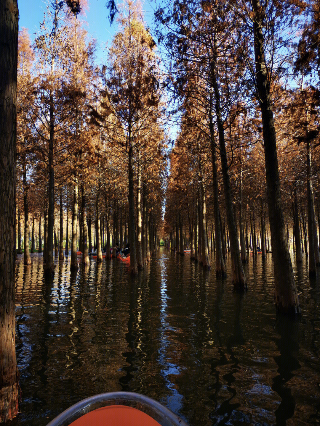 海洪湿地公园划船图片