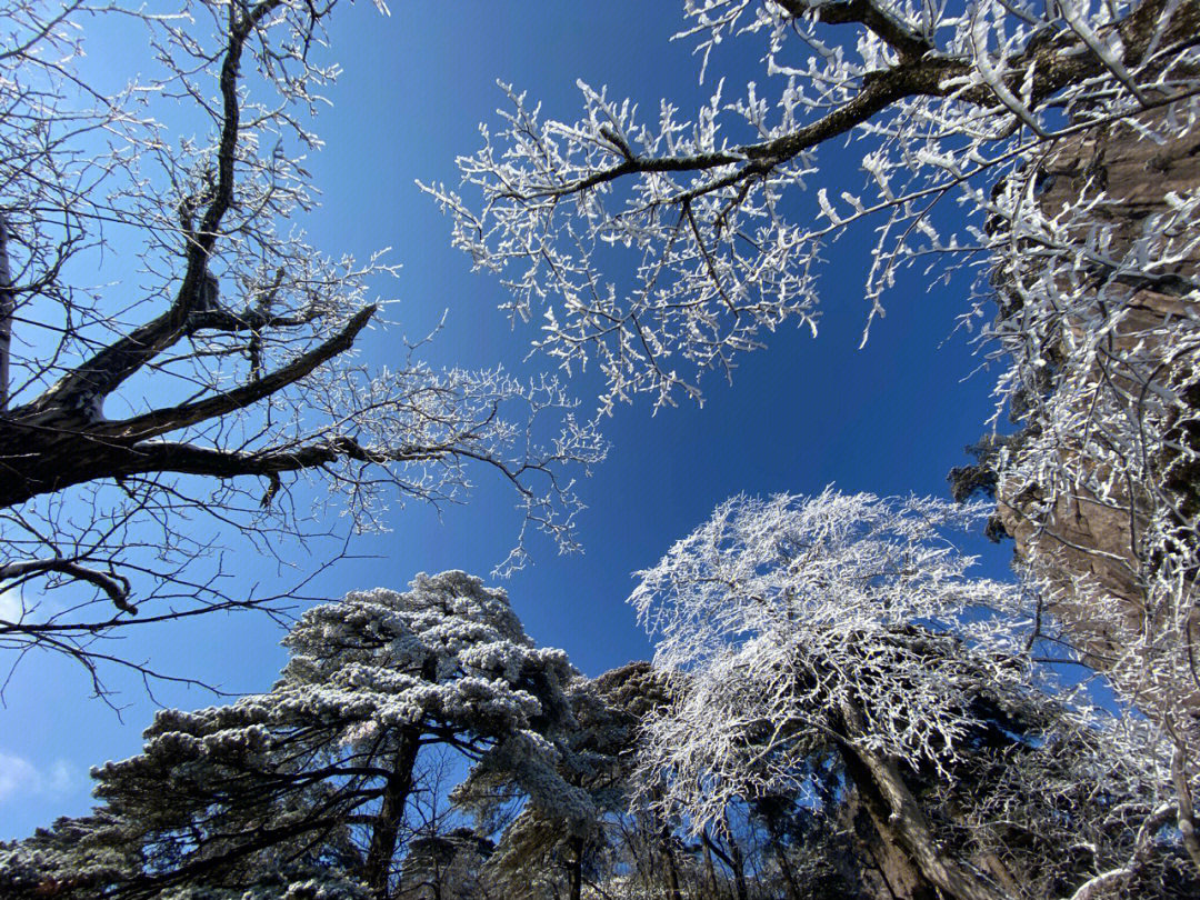 黄山的冬雪得有多美