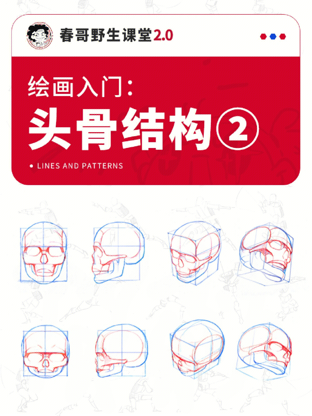 头骨比例画法步骤图片