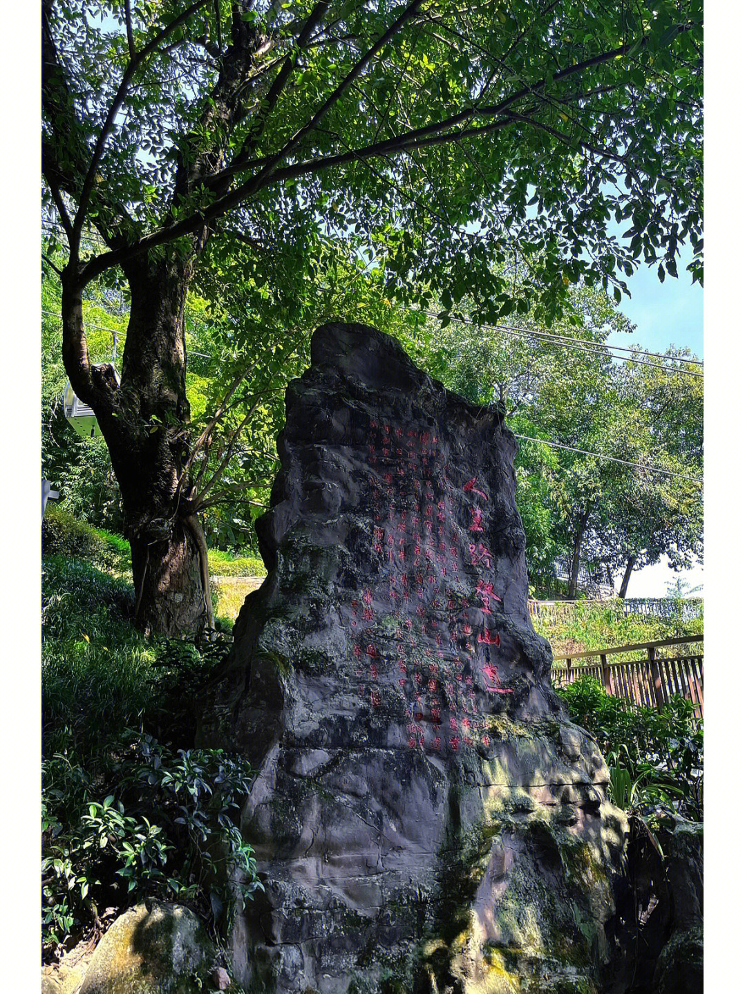 歌乐山登山步道图片