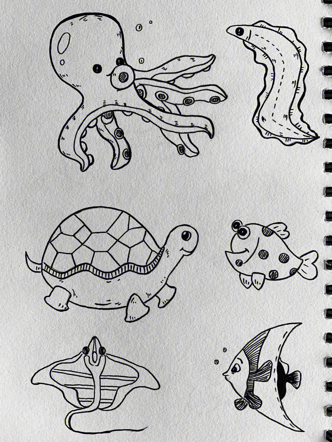 海底动物简笔画 图画图片