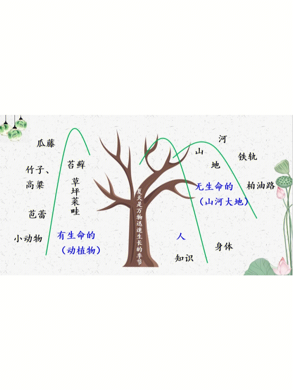 那年深夏思维导图内容图片