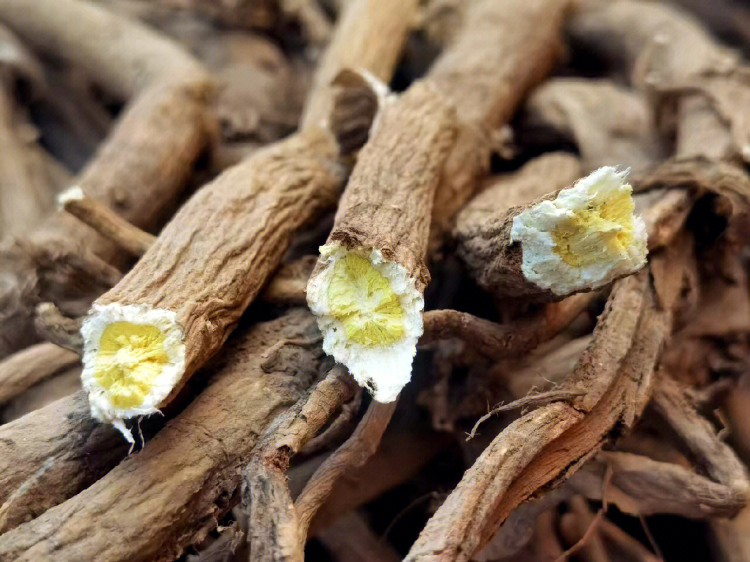 野生黄芪切片补的就是那一口气