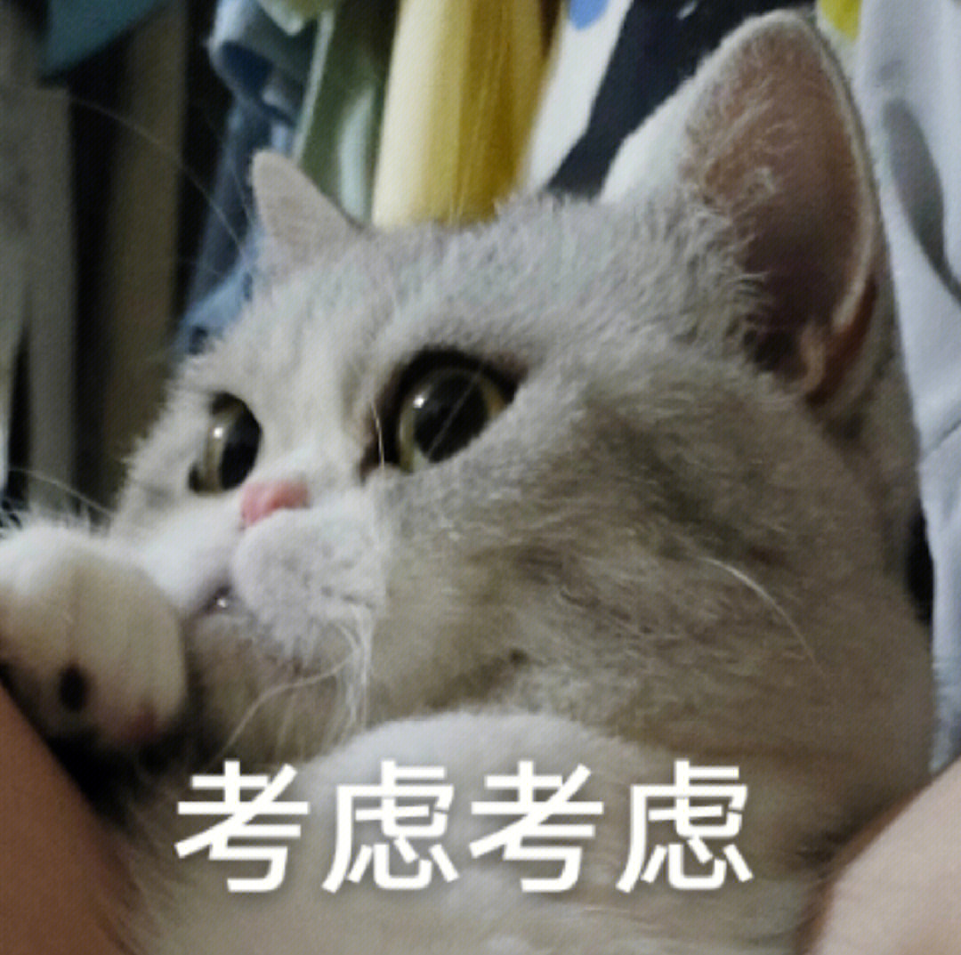 小猫咪表情包