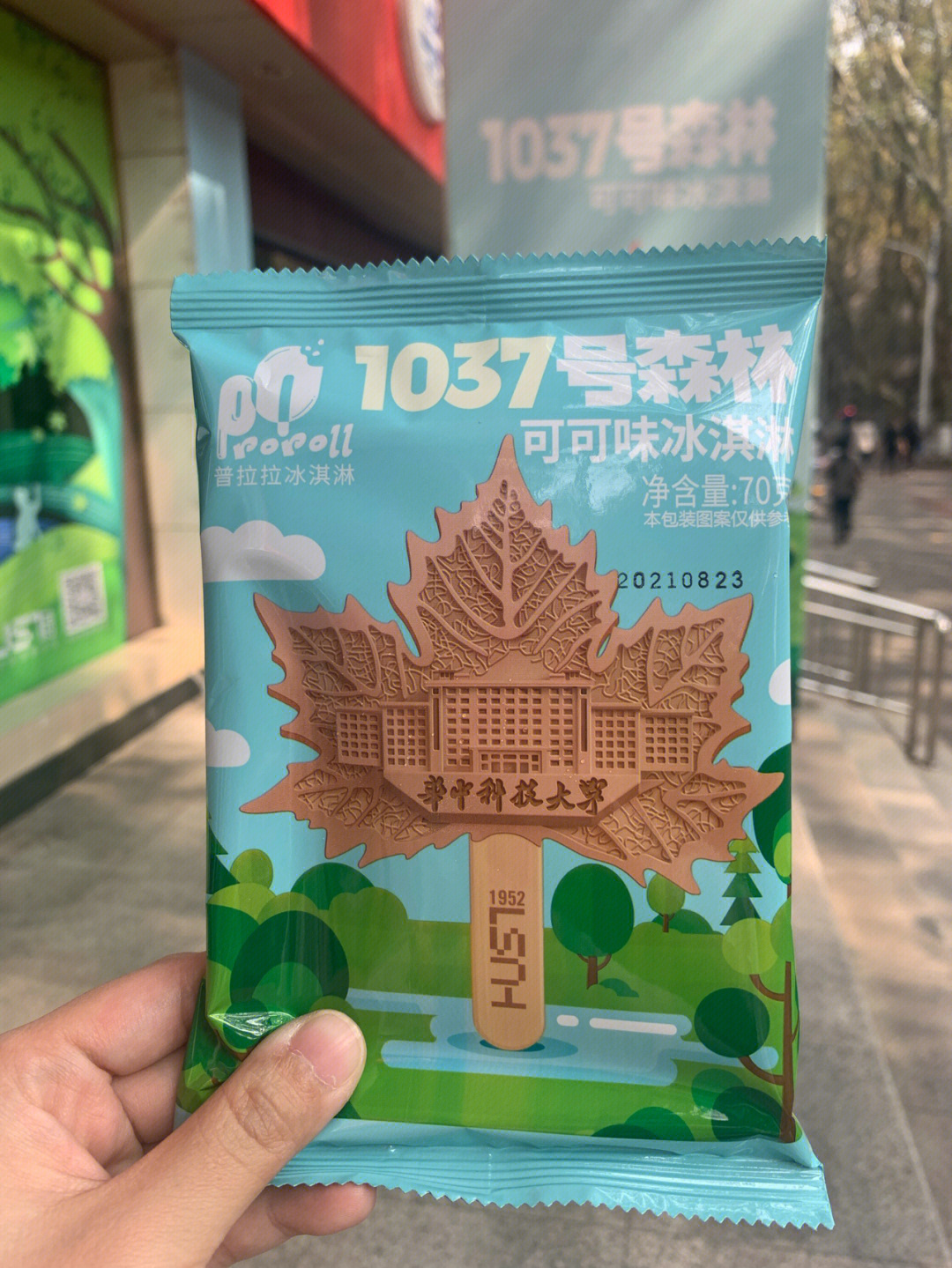 1037号森林图片