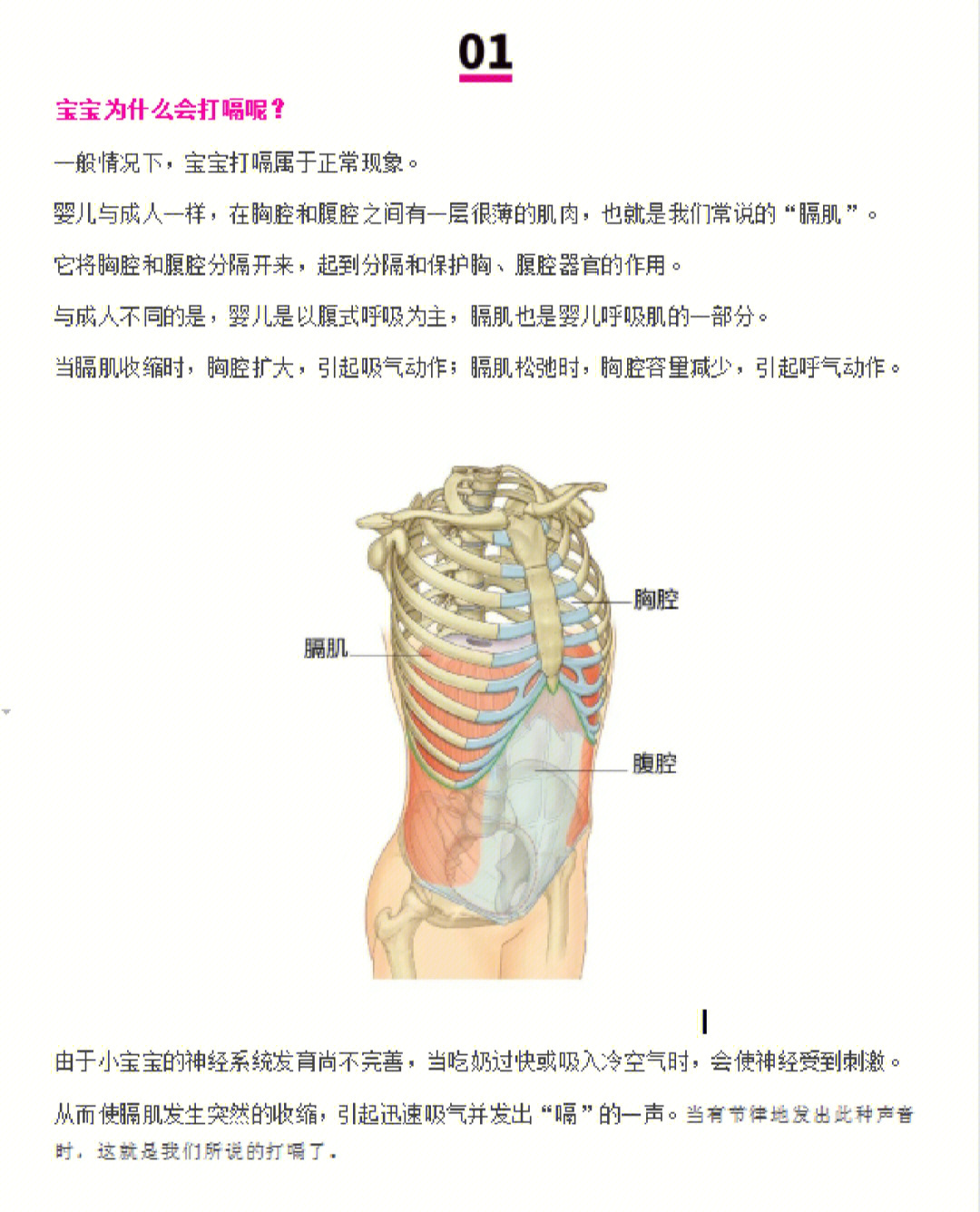 打嗝原理图片